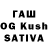 Бутират бутик Sadyui Gtrd