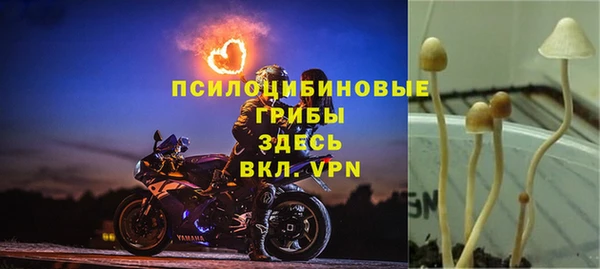 мескалин Бородино