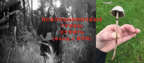 стаф Богородск