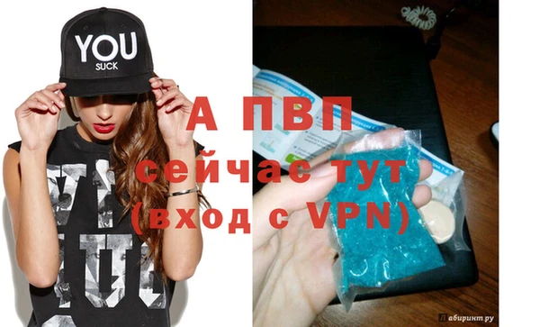 стаф Богородицк
