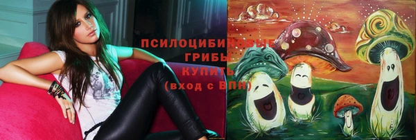 дживик Бугульма